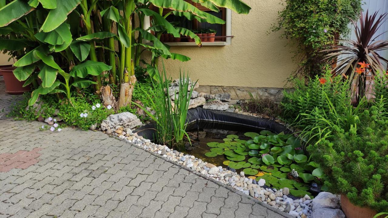 Eckhardt Vendeghaz Hotel Villány Exterior foto