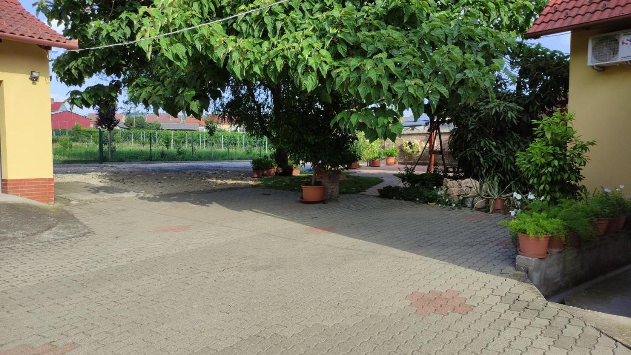 Eckhardt Vendeghaz Hotel Villány Exterior foto